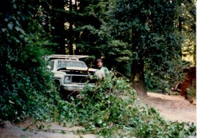 Eddie cutting massive poison oak from side of house