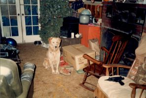 Rusty the dog