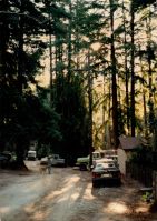 Terri Carney, Trinkling Creek Drive