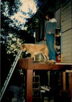 Terri Carney Trinkling Creek first deck