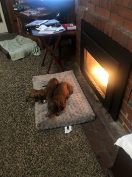 New fireplace! 