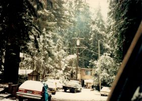 Trinkling Creek Felton snow
