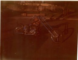 1950 EL H.D. 1973