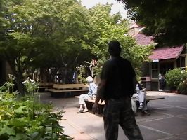 Winchester house