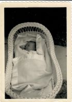 3 months old